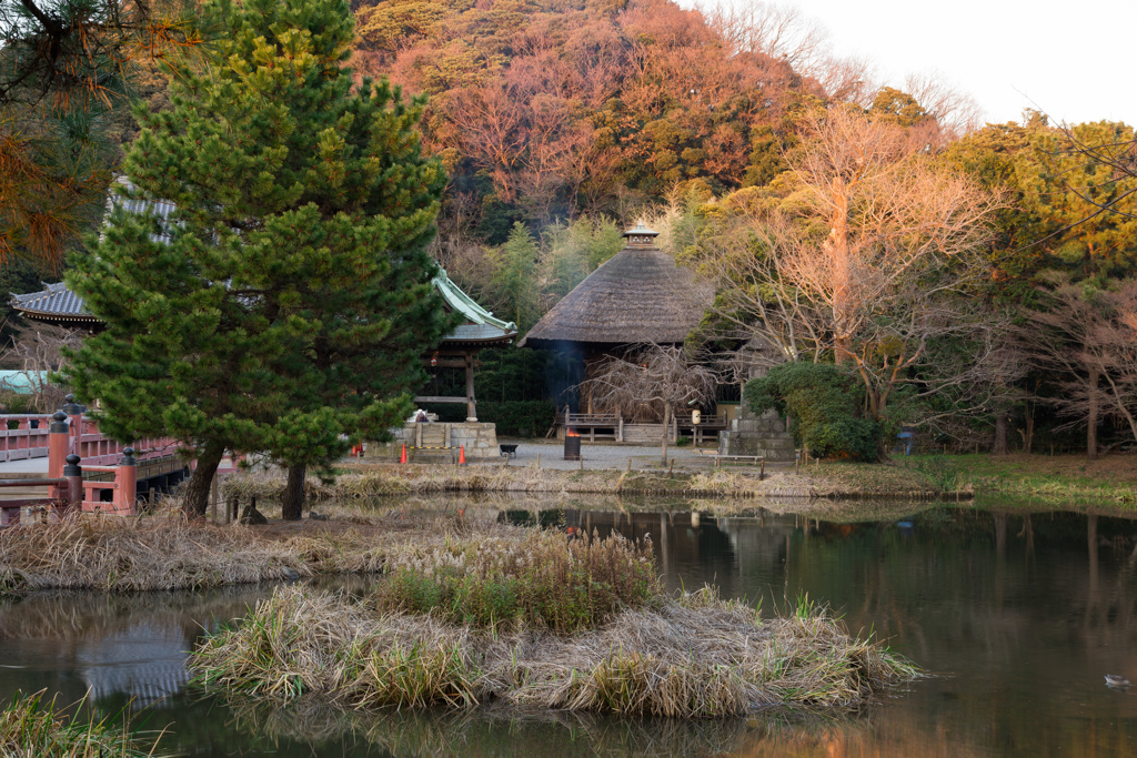 お正月の称名寺