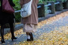山下公園イチョウ並木