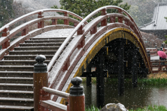 雪の日の称名寺