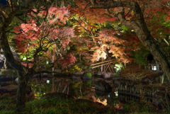 長谷寺　紅葉ライトアップ