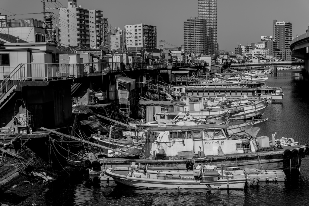 20180421 子安スナップ