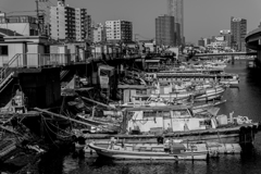 20180421 子安スナップ