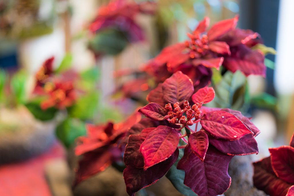 山手西洋館・クリスマス装飾・ブラフ18番館