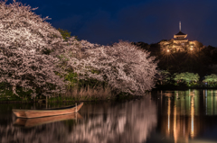 三渓園　桜ライトアップ