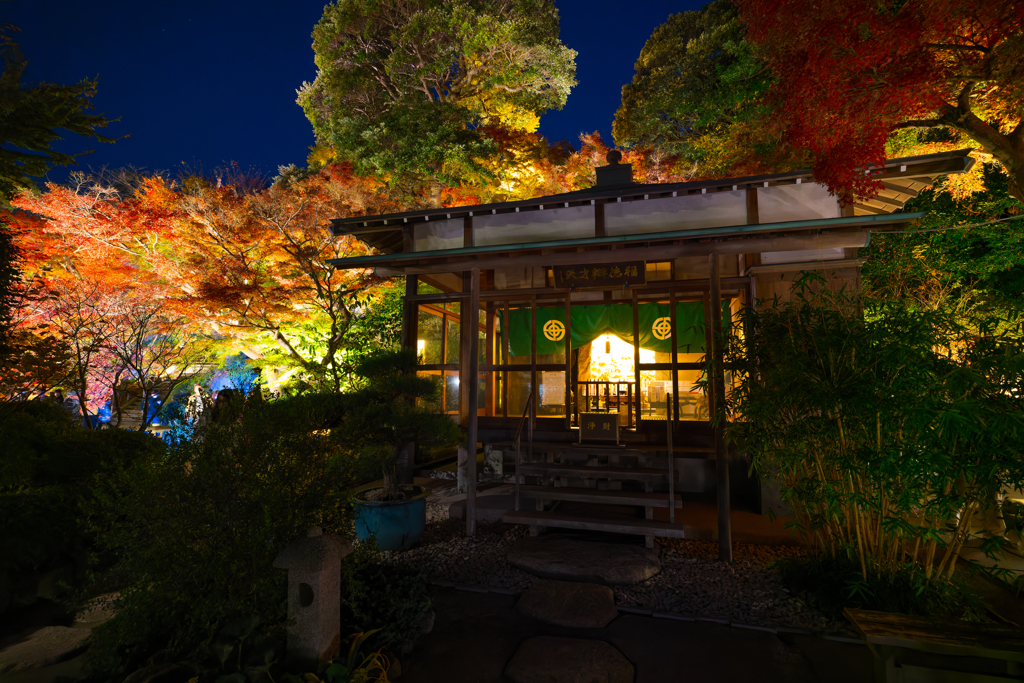 長谷寺　紅葉ライトアップ