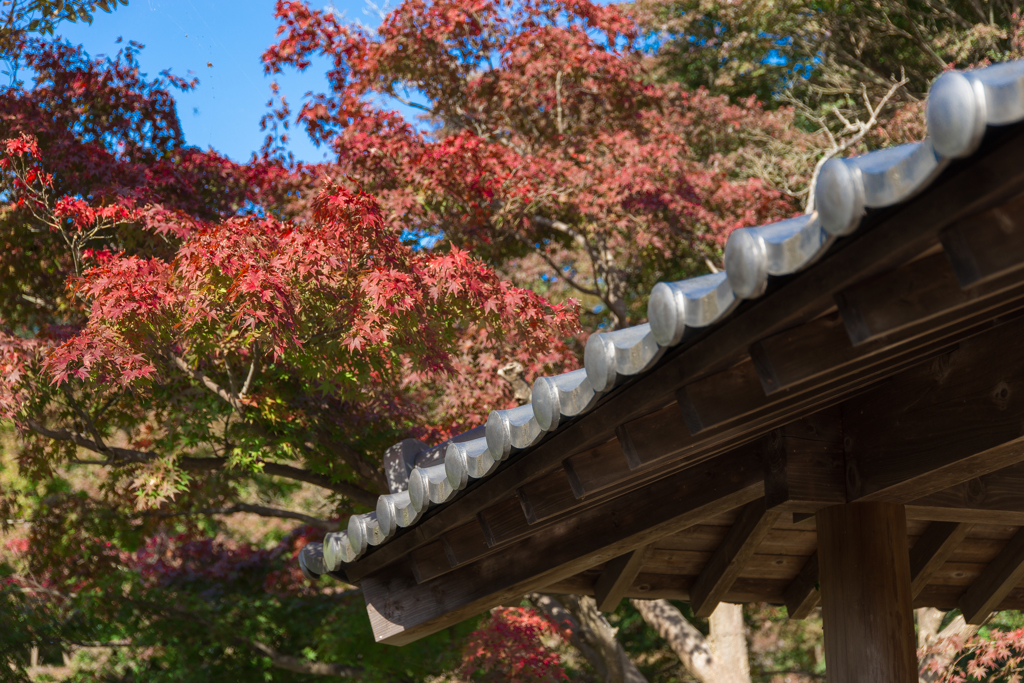 大磯城山公園