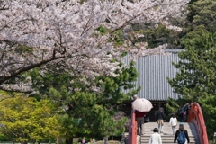 2019春の称名寺