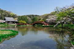 2019春の称名寺