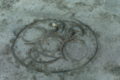 砂浜に描いてあったアンパンマン