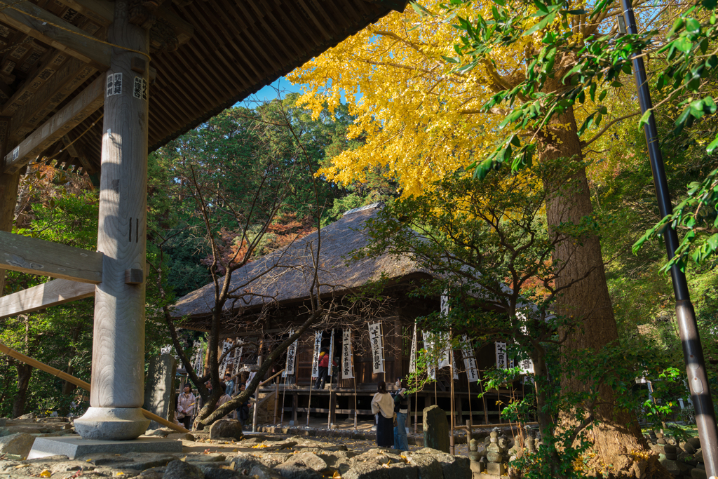 鎌倉　杉本寺