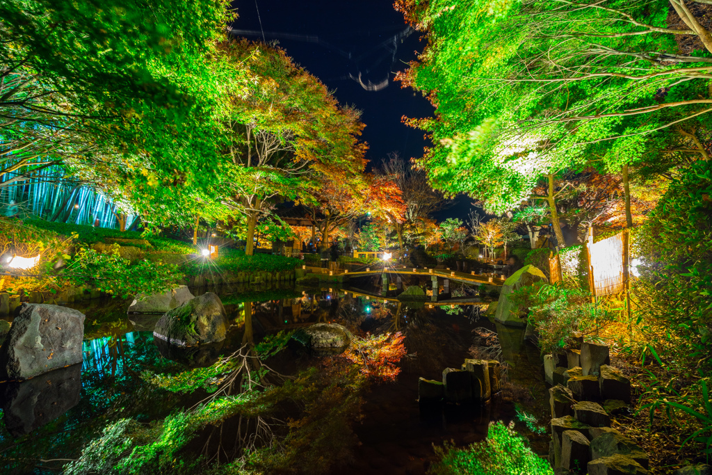 大磯城山公園紅葉ライトアップ