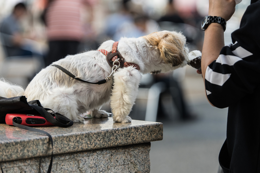 横浜・スナップ