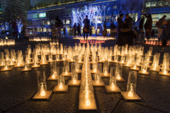 みなとみらいイルミネーション