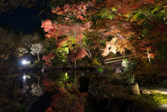 長谷寺　紅葉ライトアップ