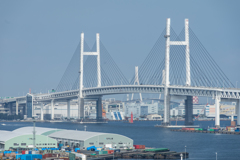 横浜・スナップ