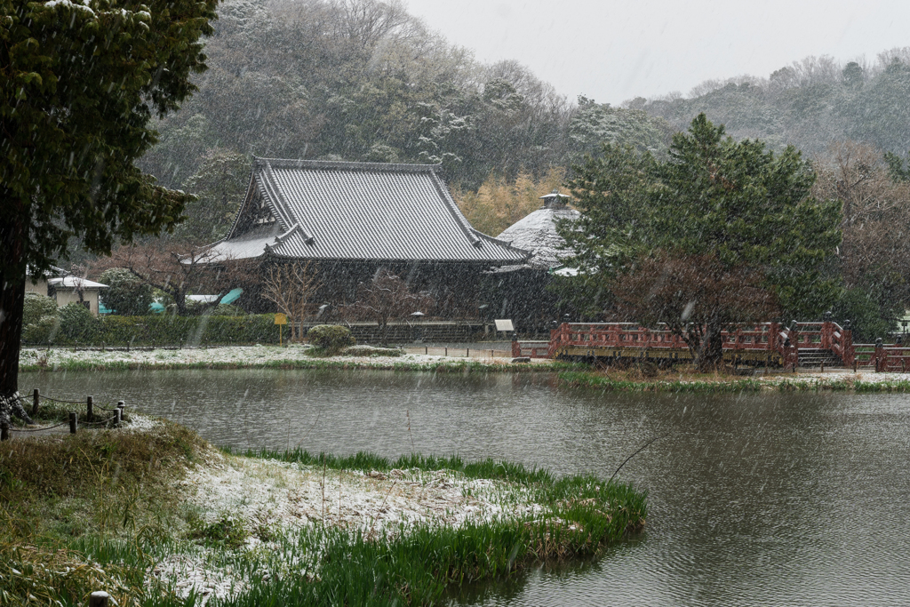 雪の日の称名寺