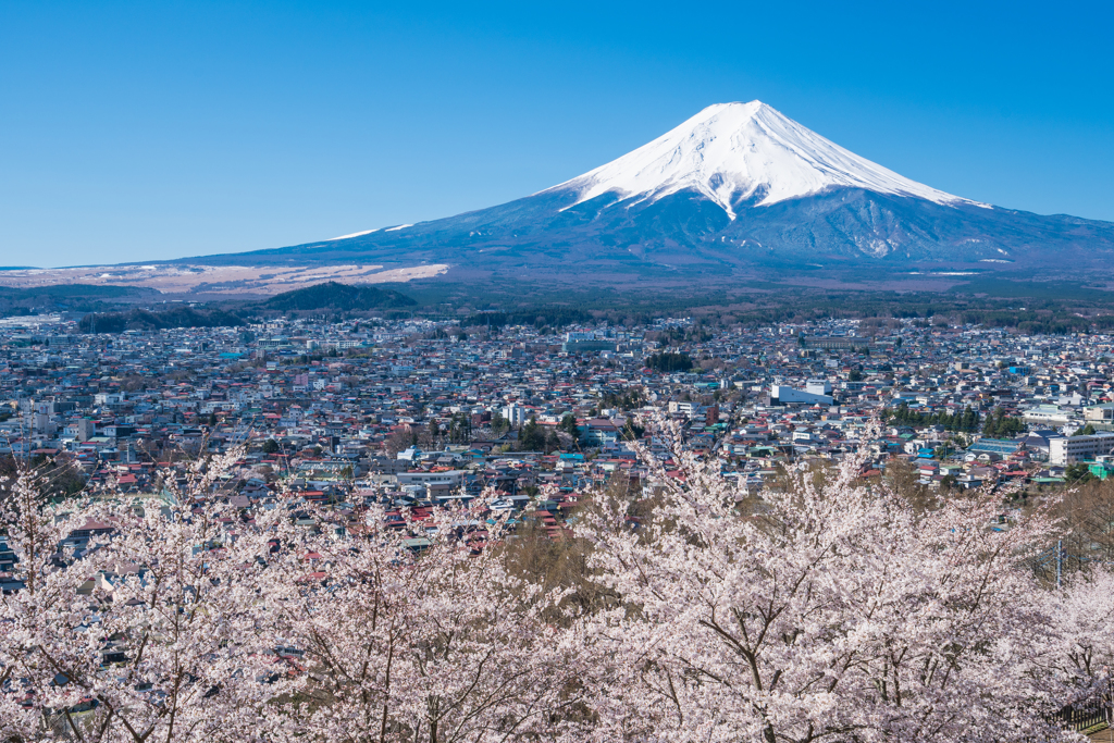 新倉山浅間公園からの富士山