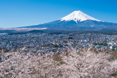 新倉山浅間公園からの富士山