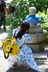 紫陽花みたいなカメラ女子
