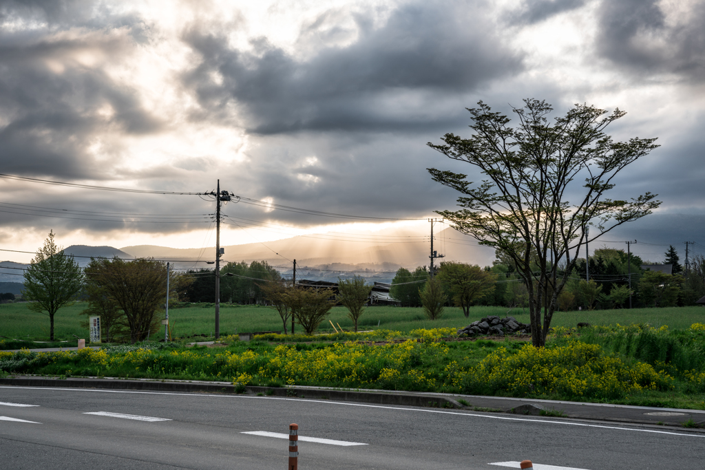朝霧高原の光のシャワー