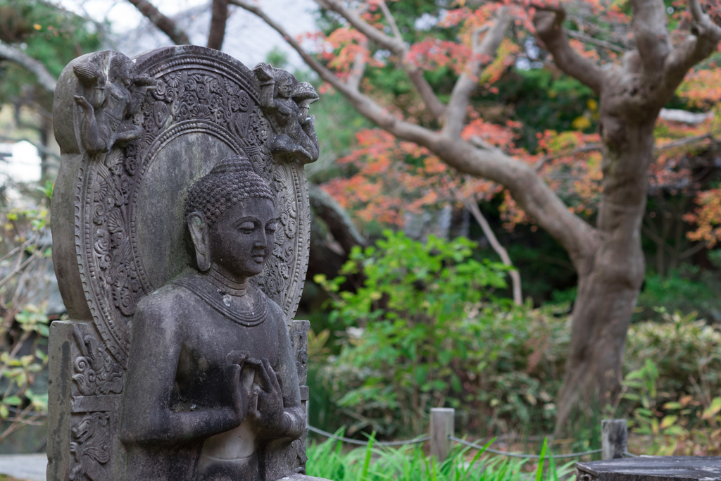 鎌倉・安国論寺