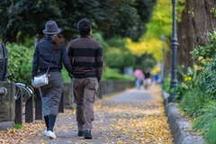山下公園イチョウ並木