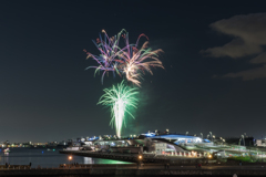 横浜ナイトフラワーズ