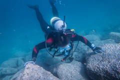 2017年9月9日　大瀬崎湾内　ダイバー