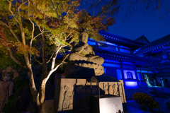 長谷寺　紅葉ライトアップ