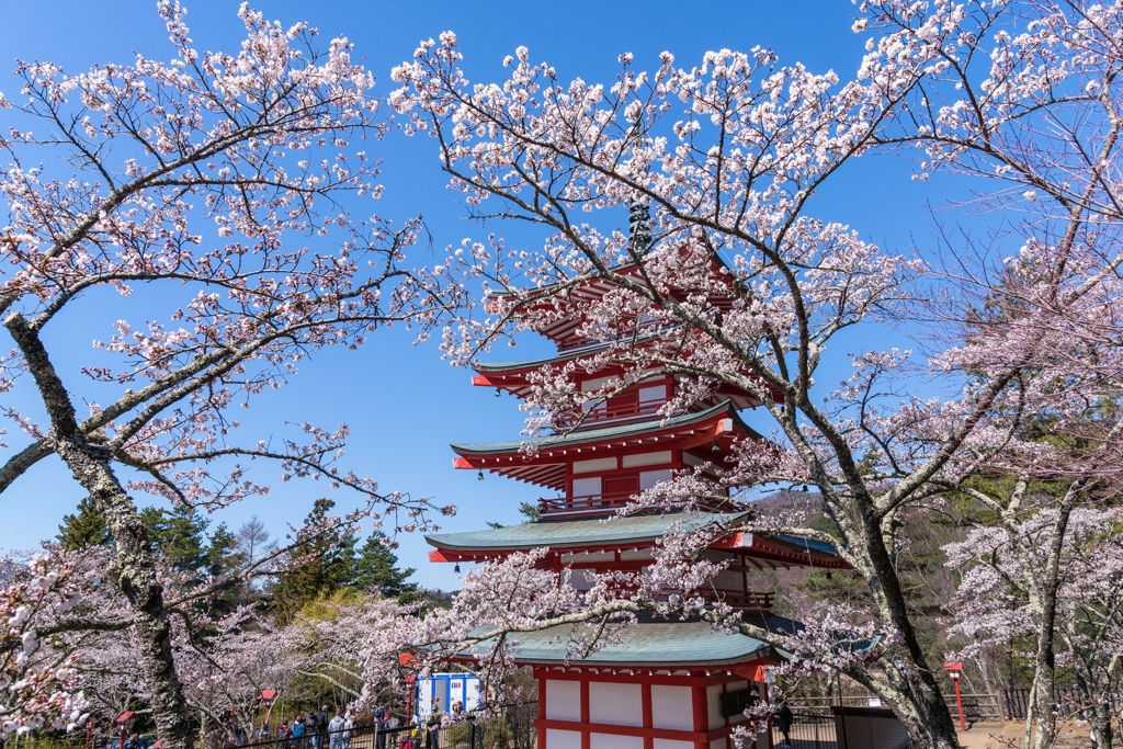 新倉山浅間公園　忠霊塔