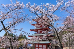 新倉山浅間公園　忠霊塔