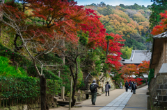 紅葉の円覚寺