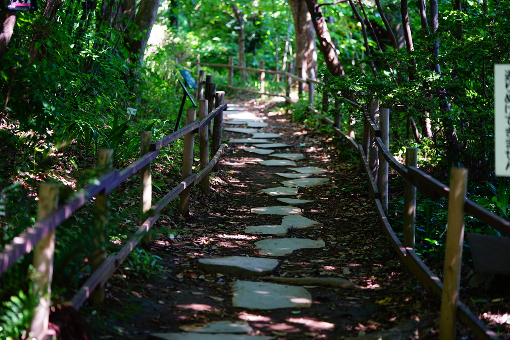 奥の細道