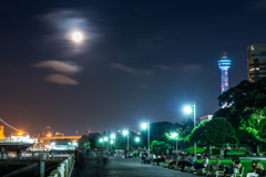 月夜の山下公園