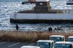 スカイウォーク