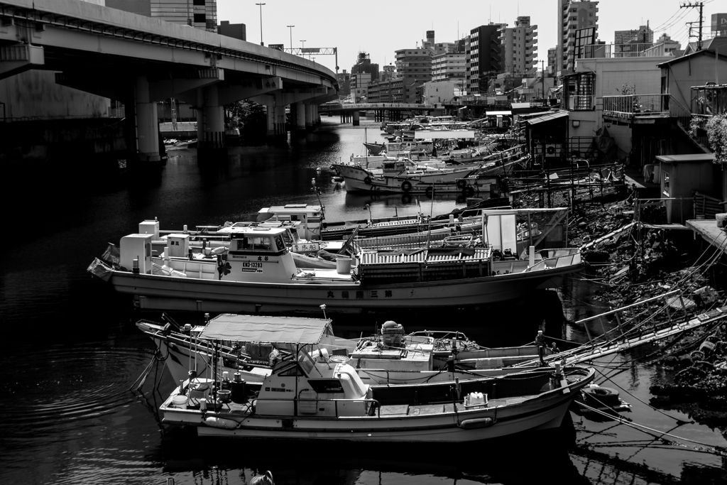 20180421　子安スナップ