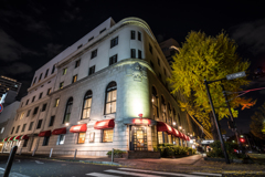 山下公園　銀杏並木