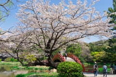 2019春の称名寺