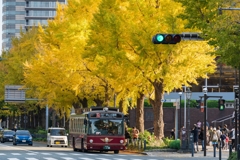 山下公園・銀杏並木