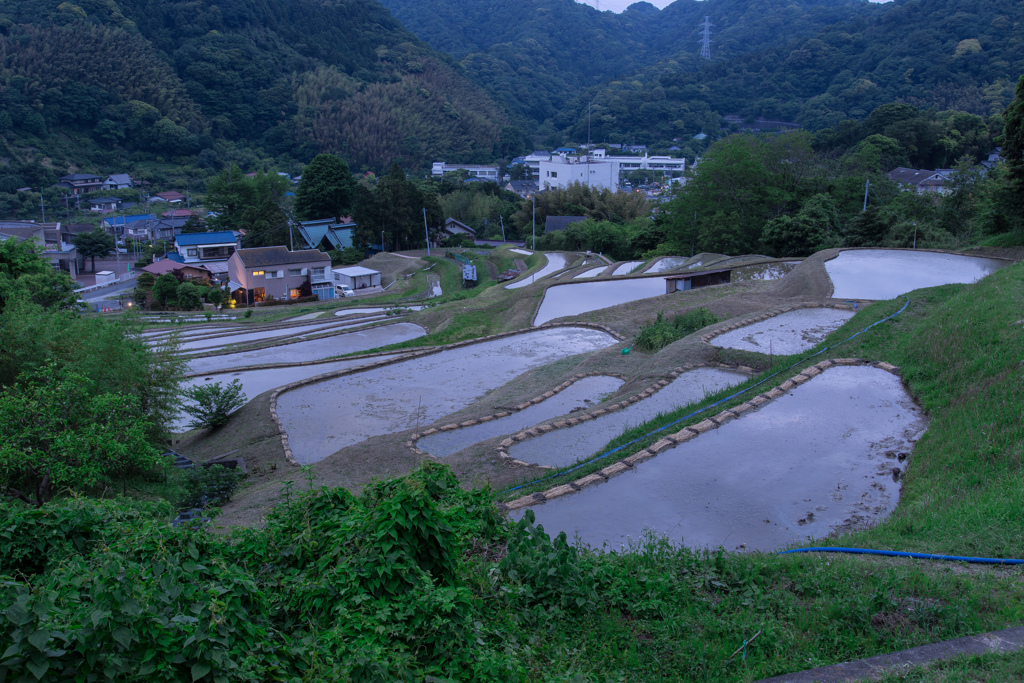 葉山の棚田
