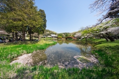 2019春の称名寺