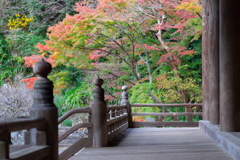 鎌倉・妙本寺