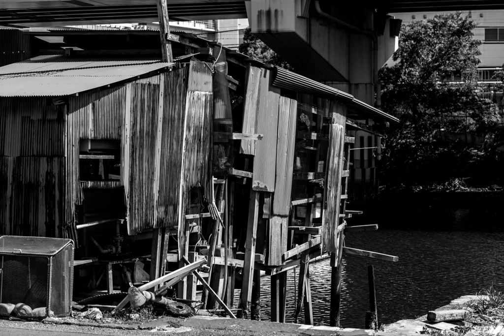 20180421　子安スナップ