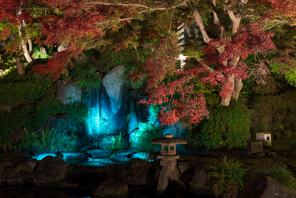 長谷寺　紅葉ライトアップ