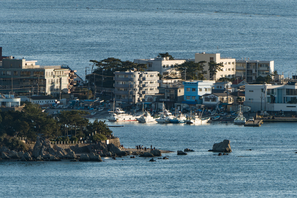 披露山公園からの風景
