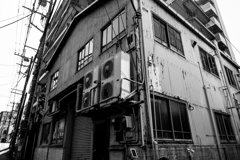 20180421 子安スナップ