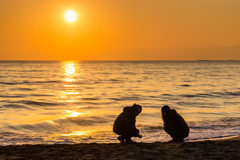 夕刻の七里ヶ浜