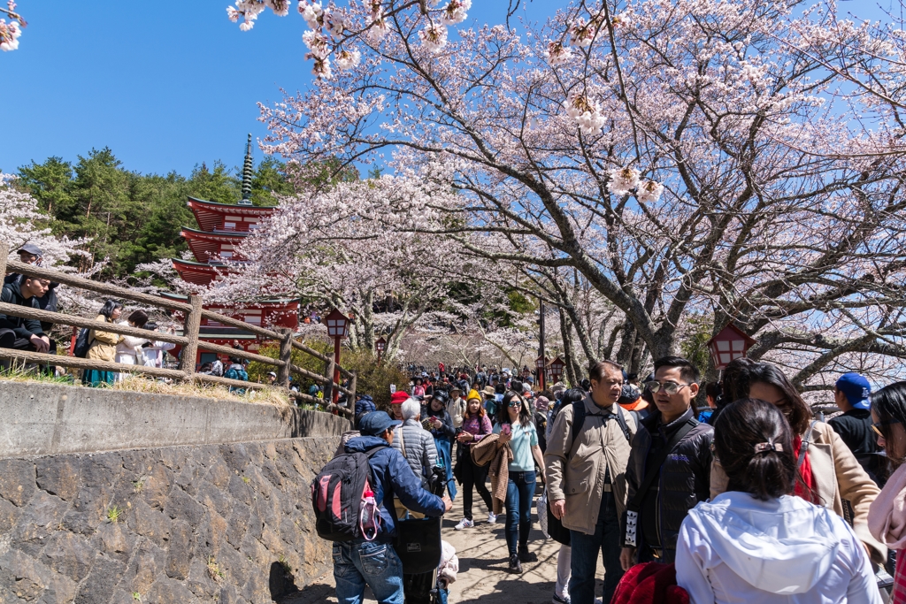 新倉山浅間公園