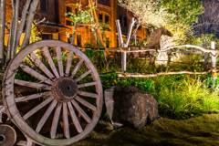 赤レンガ倉庫　中庭フラワーガーデン