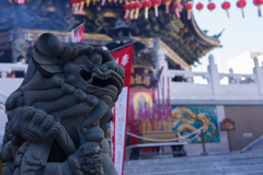 元旦の横浜中華街